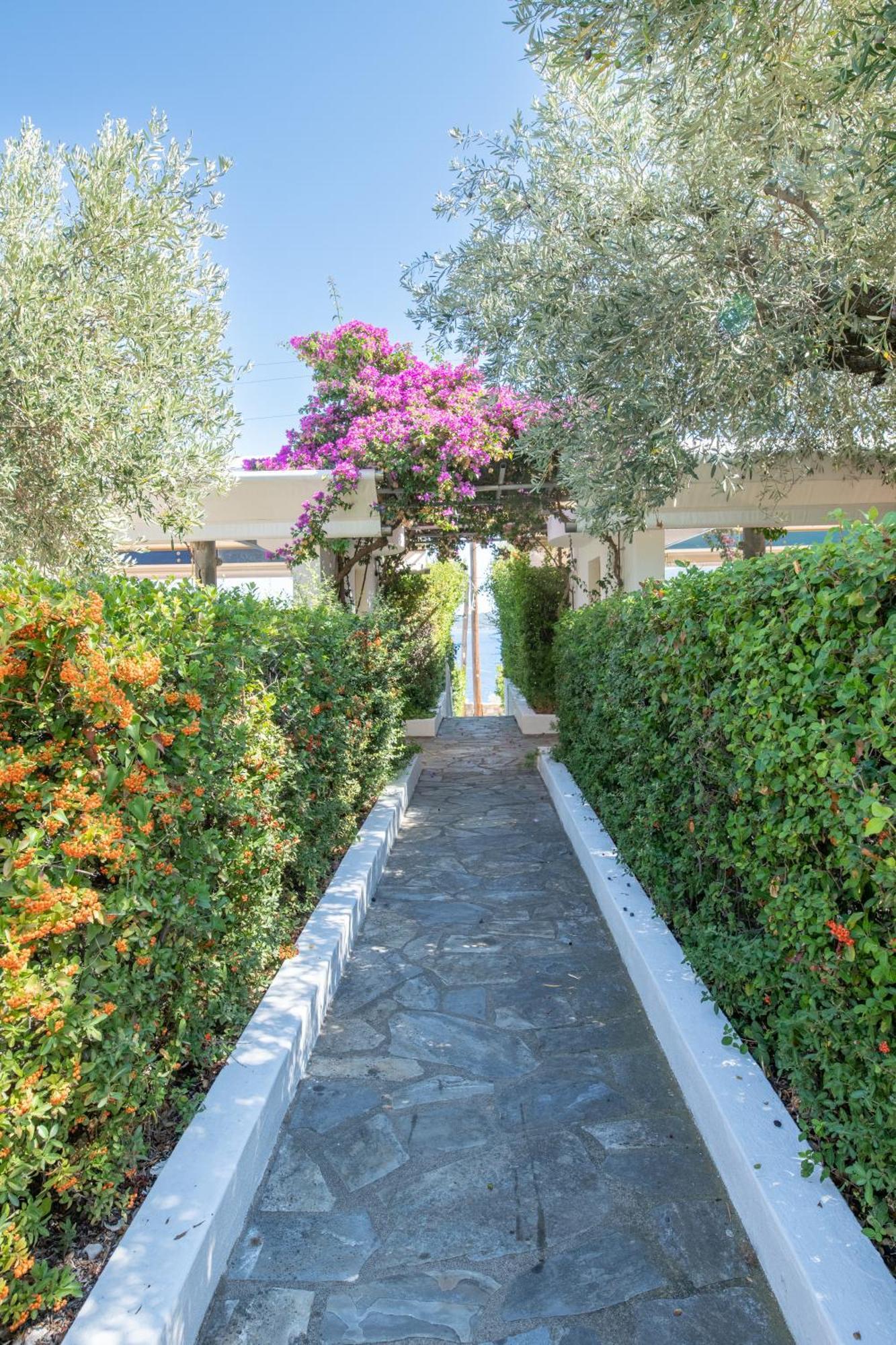Elea Villas Steni Vala Alonissos מראה חיצוני תמונה